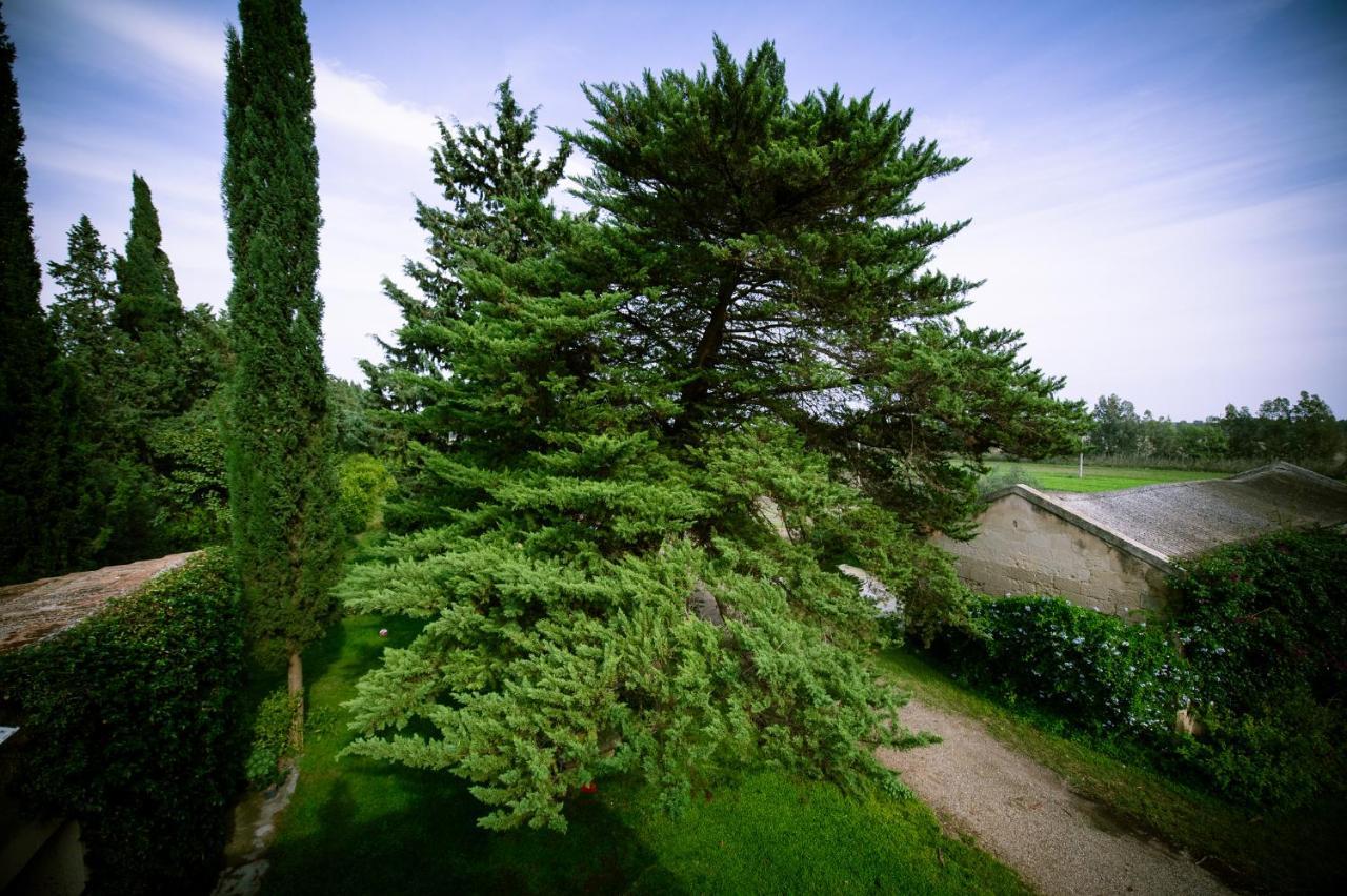 Masseria Perronello *