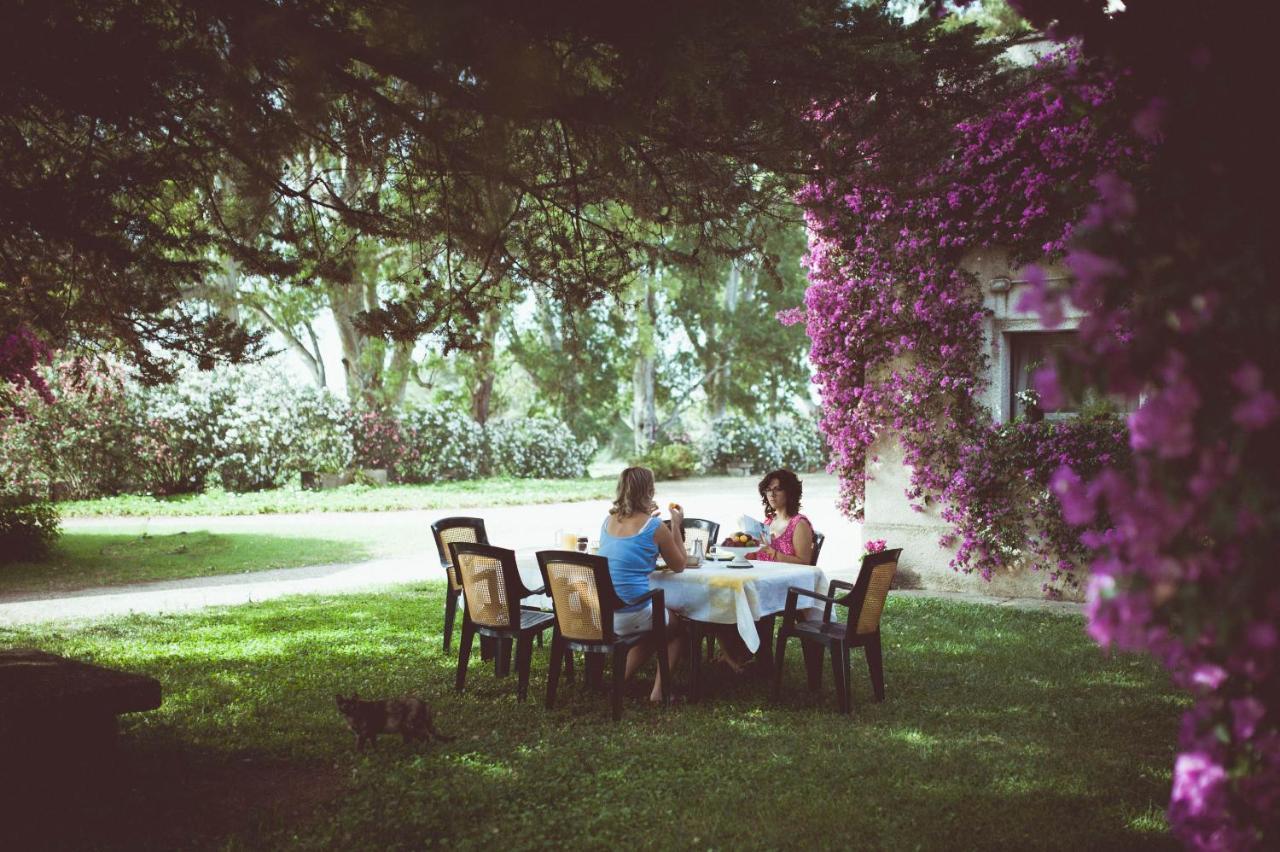 Bed & Breakfast Masseria Perronello *